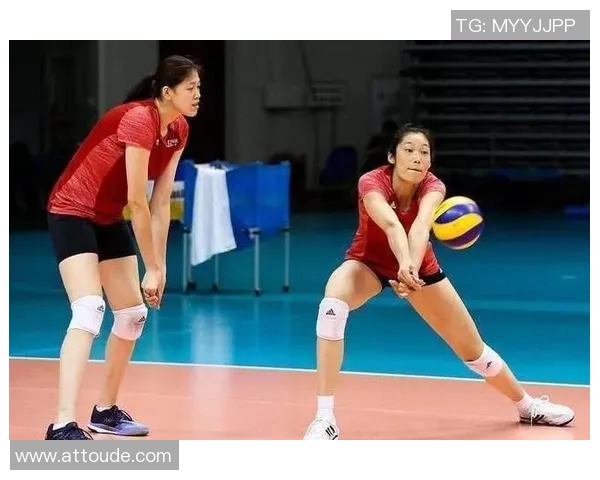 上海排球队速度领跑最新排球速度TOP10榜单揭晓