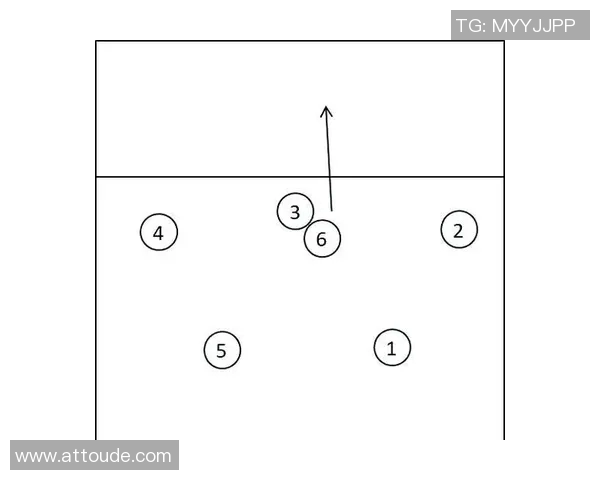 南京排球队中路突破分析与战术调整的得失总结 南京排球队中路突破分析与战术调整的得失总结