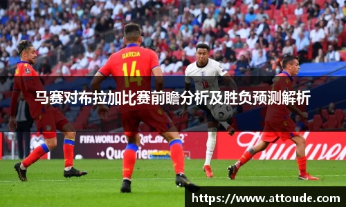 万博max官网