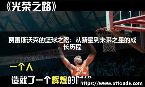 万博max官网