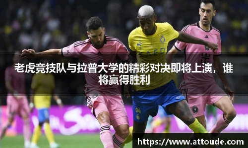万博max入口